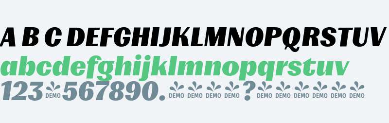 FSP DEMO - Mumford Black Obl