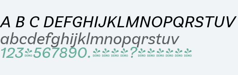 FSP DEMO - Klainy Book Italic