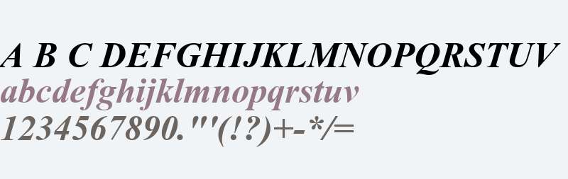 Angsana New Bold Italic