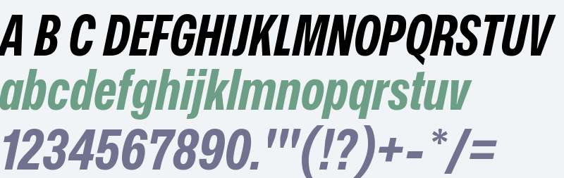 Mona-Sans Narrow Italic