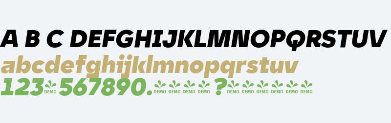 FSP DEMO - nytr Dsply Hvy