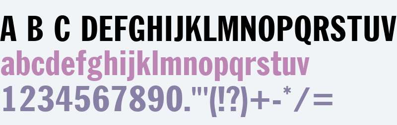 MonotypeFranklinGothicW01XtraCn