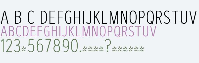 FSP DEMO - rtgrSnsCnSCxtrLght