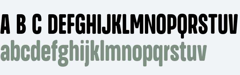 FSP DEMO - Black Ultra Cn