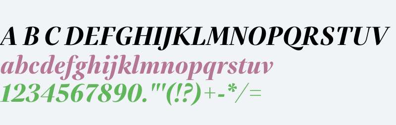 Bookerly Display Bold Italic