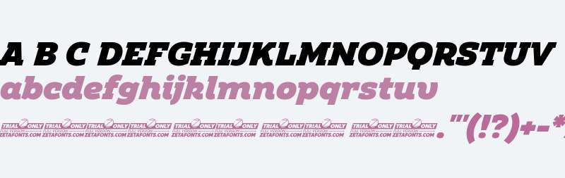 Amazing Slab Trial Black Italic