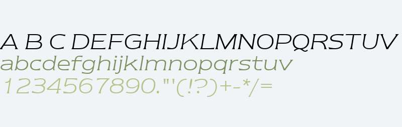 ITC Newtext W01 Light Italic