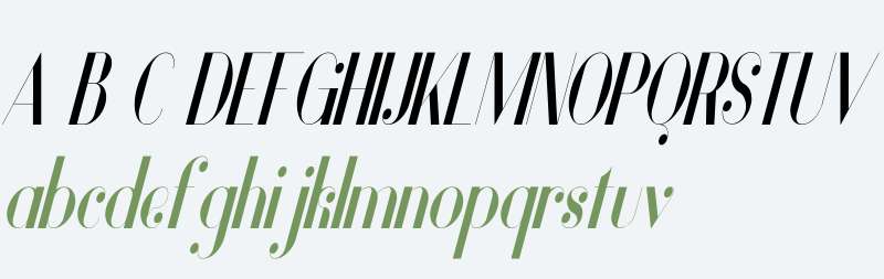 Vanity Bold Narrow Italic