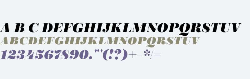 Encorpada W01SC Black Italic