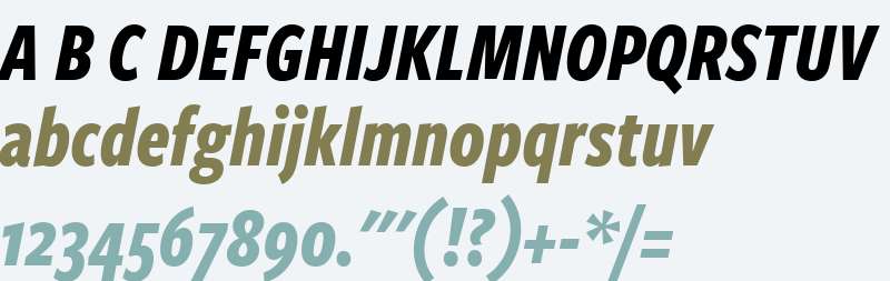 FreightSansCmp W03 Bold Italic