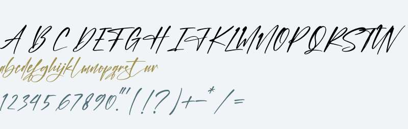The Mondela Catalisa Script