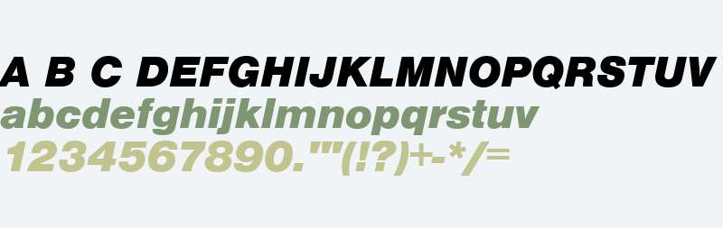 NimbusSanTBla Italic