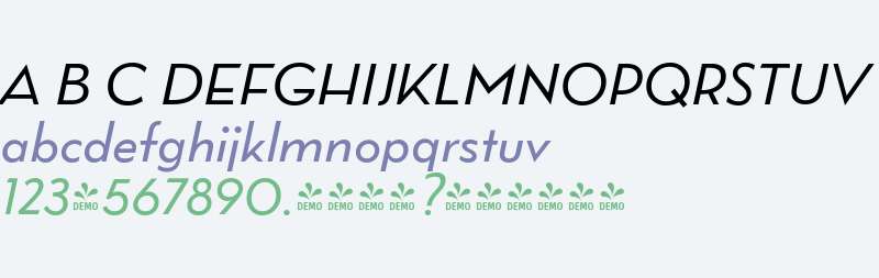 FSP DEMO - Wright Pro It