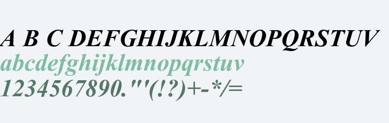 Kokila Bold Italic