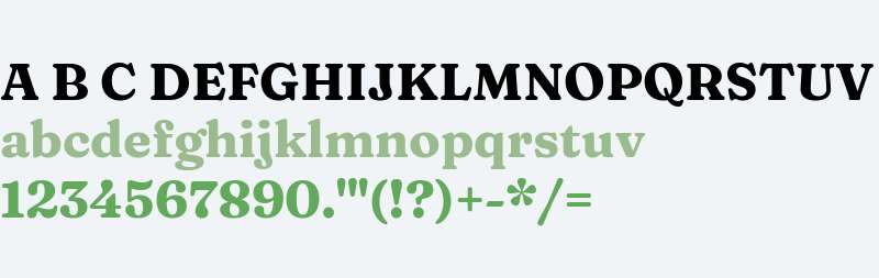 Fraunces 9pt S050 Bold