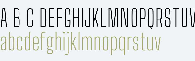 Big Shoulders Text Thin