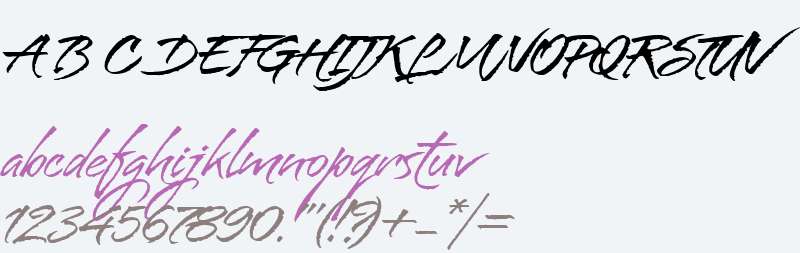 Bravissima Script W00 Reg