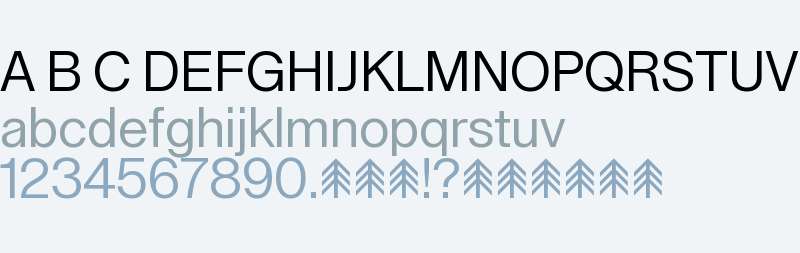 Lay Grotesk - Trial