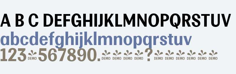 FSP DEMO - Multipa Bold