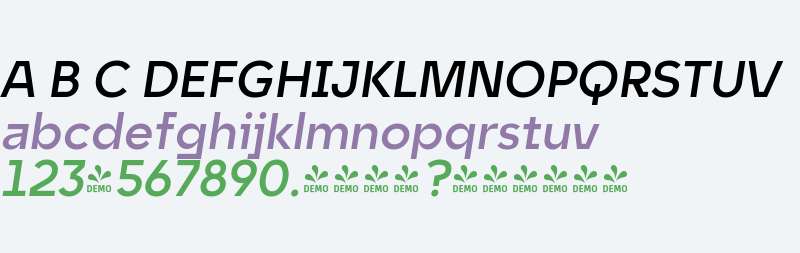 FSP DEMO - nytr Dsply SmBd