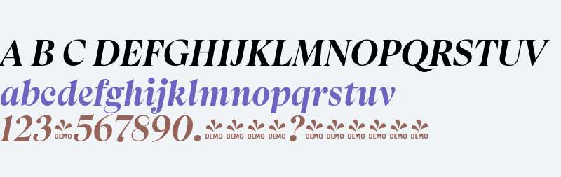 FSP DEMO - Apparel Black It