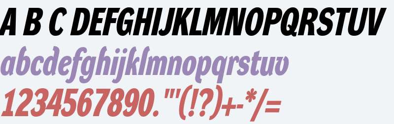 Dynamo Italic B C