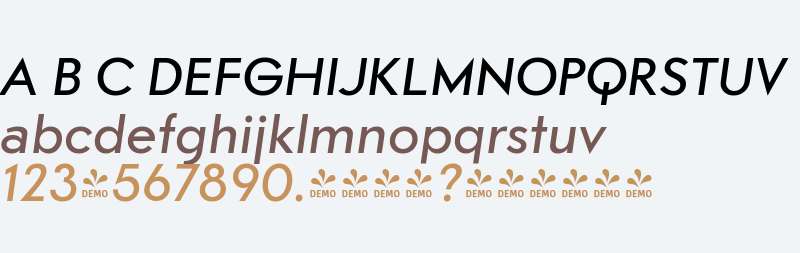 FSP DEMO - Csmt Mdm tlc