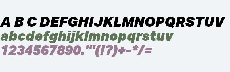 Aktiv Grotesk W01 Black Italic