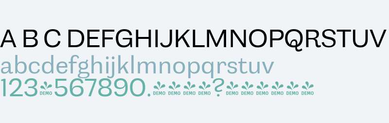 FSP DEMO - Capital Gothic