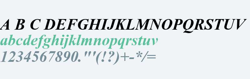 Angsana New Bold Italic V1