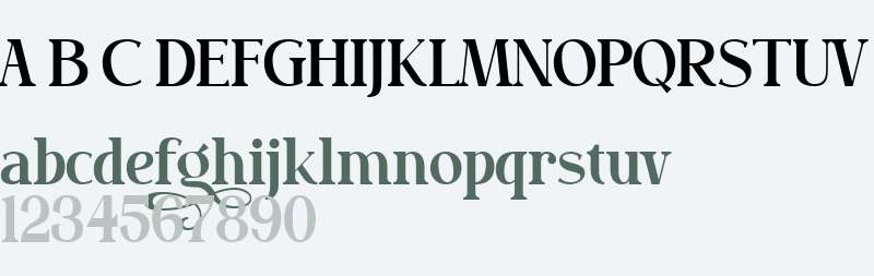 Bilgosia Serif