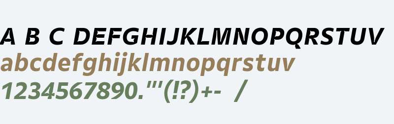 Gemeli Micro Web Bold Italic