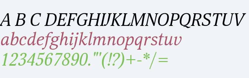 Selina Italic W08 Regular