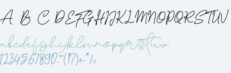 Sarttink Signature