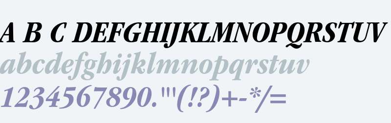 ITC Garamond Std Bold Narrow Italic