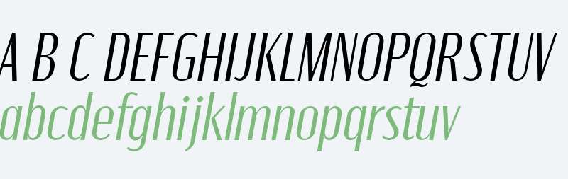 Moniqa Ita Paragraph