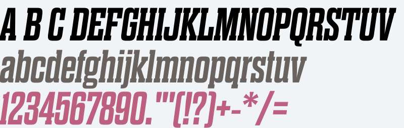 Dharma Slab E W01 Bold Italic