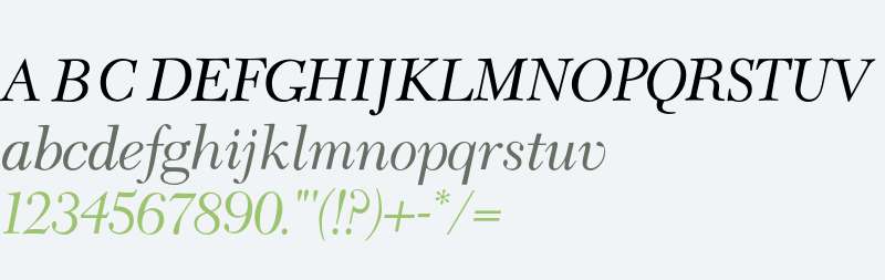 CameliaItalic