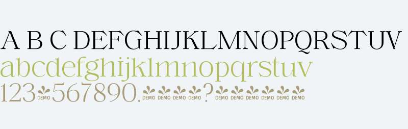 FSP DEMO - Voire ExtraLight