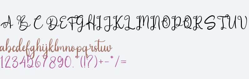 Writer Signature