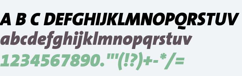 TheSans-B9BlackItalic