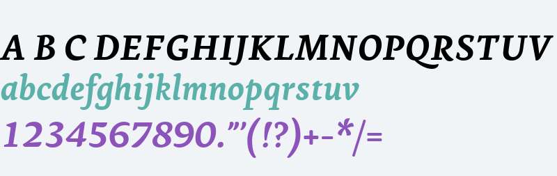 Ginkgo LT W01 Bold Italic