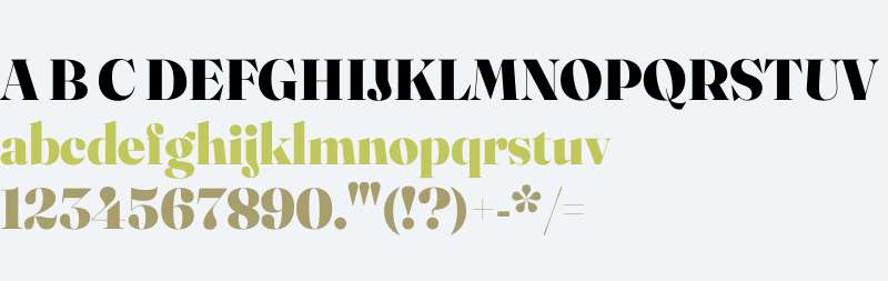 Fraunces 144pt Black