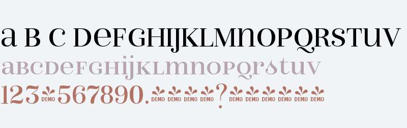 FSP DEMO - Isabel Unicase