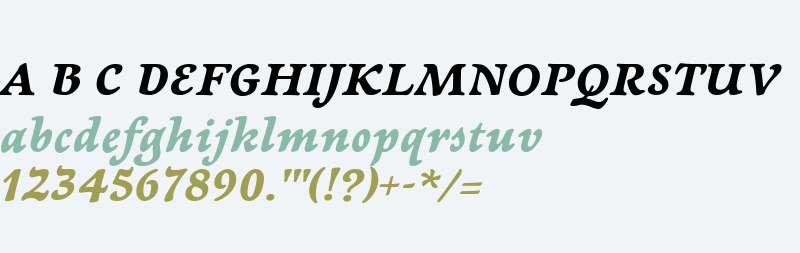 NewtSerifBold-Italic