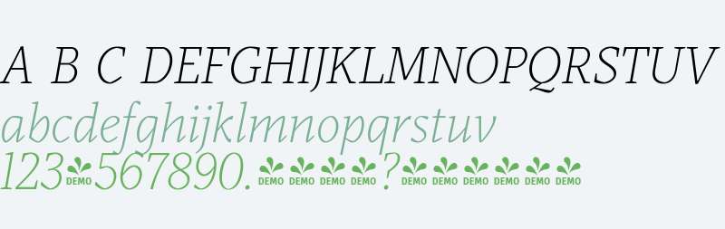 FSP DEMO - Audela Light Italic