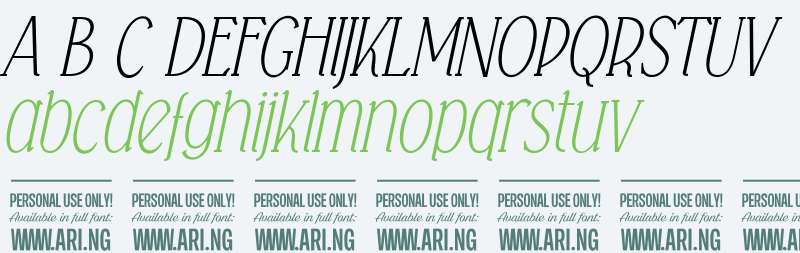 Falkin Serif Italic PERSONAL