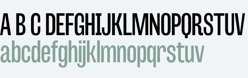 MrPalkerDadson Cond Regular