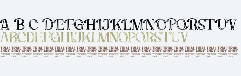 Discuss Lessons Demo