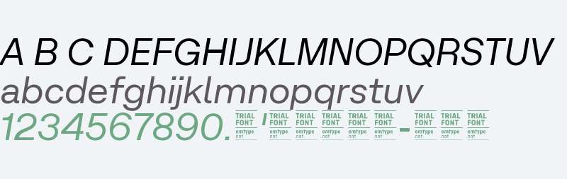 Micrograph Trial Italic